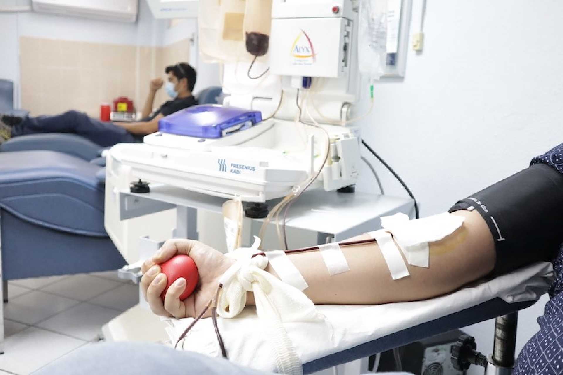 LA DONACIÓN VOLUNTARIA DE SANGRE ES UN HÁBITO ALTRUISTA Y SALUDABLE