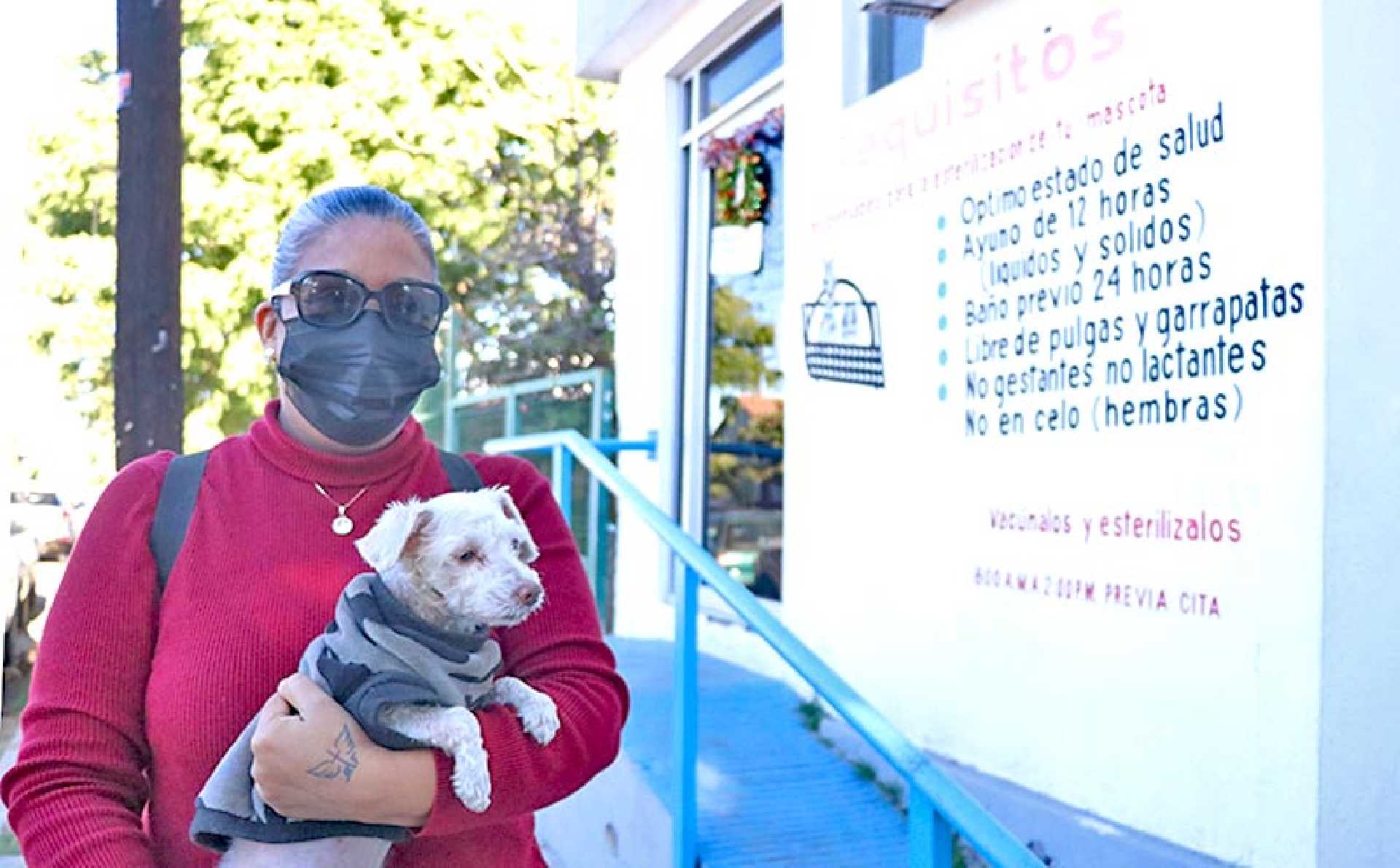 SECRETARÍA DE SALUD ESTERILIZÓ MÁS DE 10 MIL PERROS Y GATOS DURANTE 2022