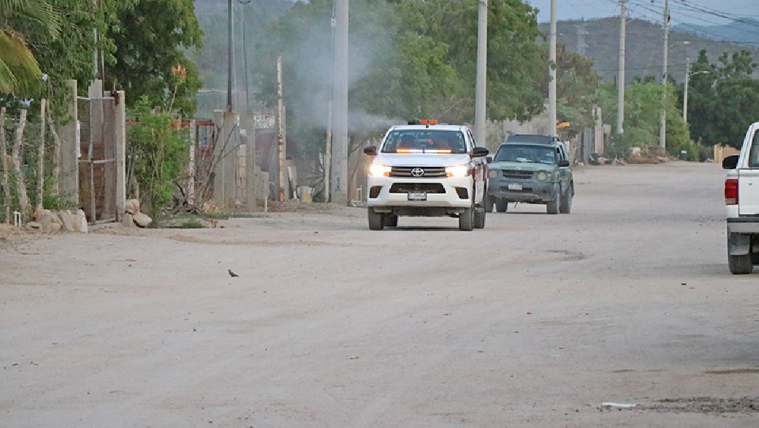 MÁS DE 4700 HECTÁREAS HAN SIDO ATENDIDAS CON JORNADAS DE FUMIGACIÓN EN LOS CABOS Y LA PAZ