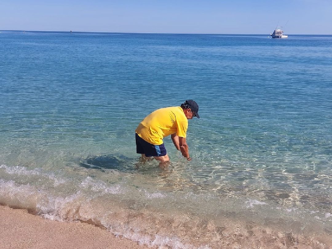 PLAYAS DE BCS EN CONDICIONES ÓPTIMAS PARA DESARROLLAR ACTIVIDADES RECREATIVAS