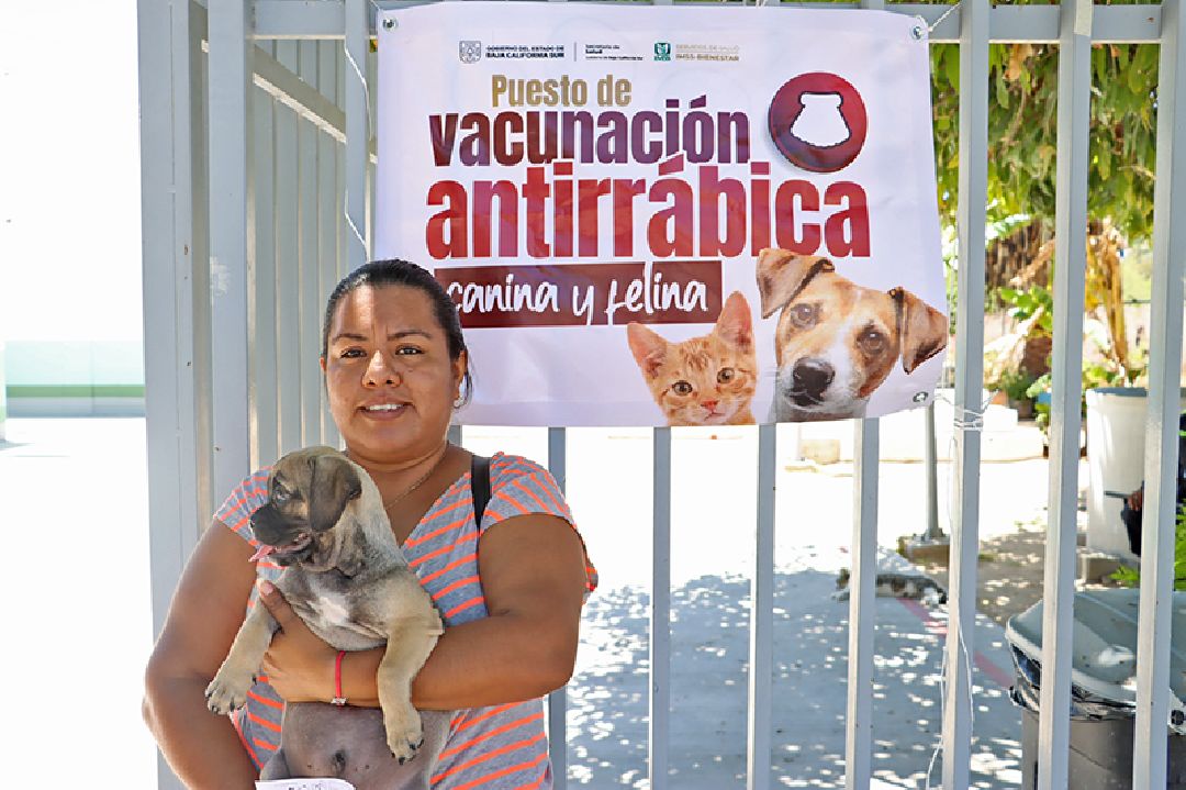 INICIÓ CAMPAÑA DE VACUNACIÓN ANTIRRÁBICA CANINA Y FELINA EN LA PAZ